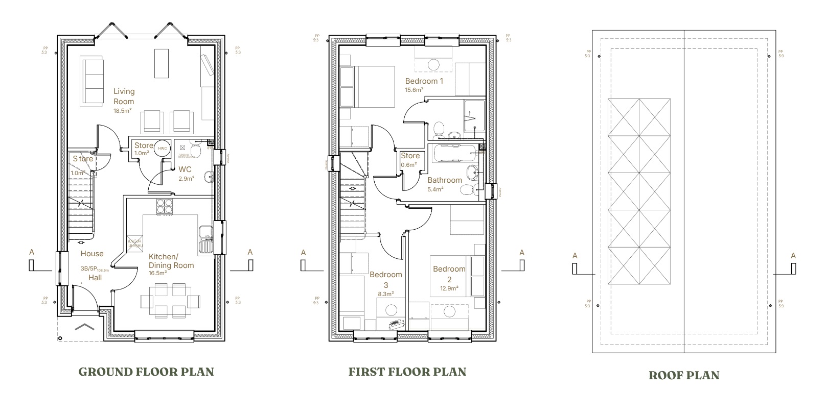 Ground floor, first floor and roof plan for Beech Avenue